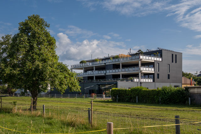 Bild Bodenweg